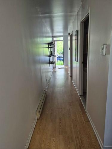 Appartement de 1 chambre à louer à Montreal - Rosemont–La Petite-Patrie — photo 3