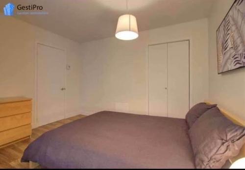 Appartement de 1 chambre à louer à Québec - La Cité-Limoilou — photo 5