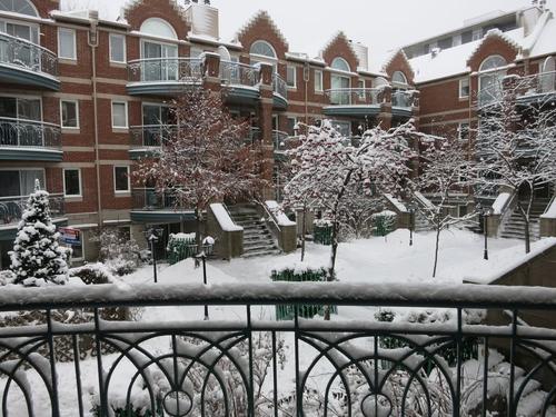2 bedrooms apartment for rent in Montreal - Le Plateau-Mont-Royal — photo 2
