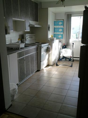 1 bedroom apartment for rent in Montreal - Villeray–Saint-Michel–Parc-Extension — photo 5