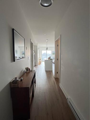 1 bedroom apartment for rent in Gatineau — photo 2
