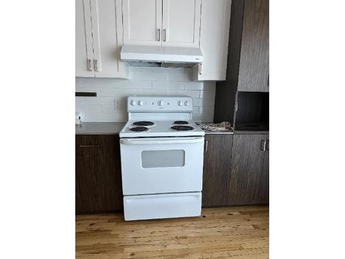 2 bedrooms apartment for rent in Montreal - Rosemont–La Petite-Patrie — photo 2