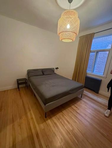 2 bedrooms apartment for rent in Montreal - Le Plateau-Mont-Royal — photo 4