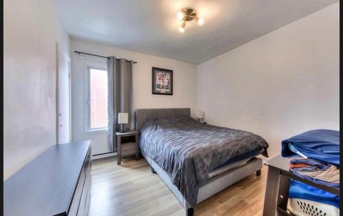 2 bedrooms apartment for rent in Laval — photo 4
