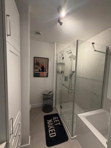 Appartement de 1 chambre à louer à Gatineau — photo 3