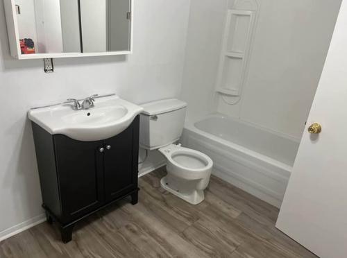 1 bedroom apartment for rent in Montreal - Rivière-des-Prairies–Pointe-aux-Trembles — photo 5
