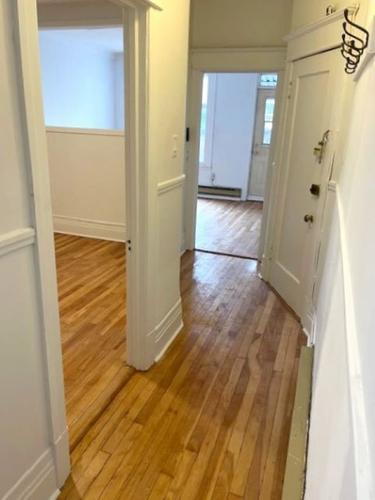 1 bedroom apartment for rent in Montreal - Le Plateau-Mont-Royal — photo 16