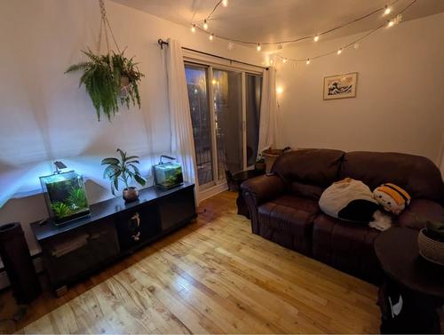 Appartement de 1 chambre à louer à Québec - La Cité-Limoilou — photo 7