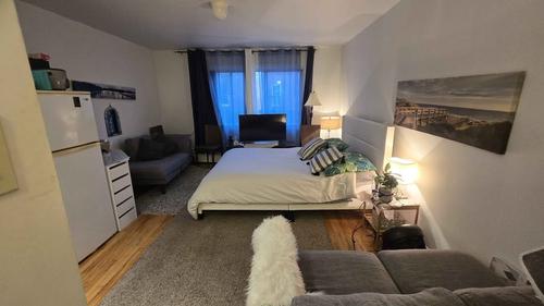 Studio for rent in Montreal - Le Plateau-Mont-Royal — photo 12