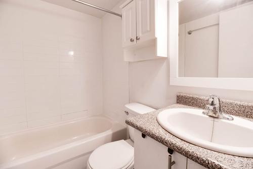 1 bedroom apartment for rent in Montreal - Ville-Marie — photo 4