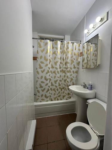 1 bedroom apartment for rent in Montreal - Le Plateau-Mont-Royal — photo 5