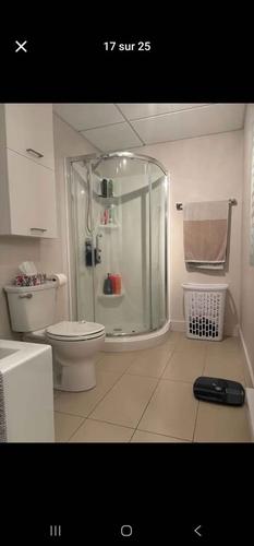 Appartement de 2 chambres à louer à Québec - Sainte-Foy–Sillery–Cap-Rouge — photo 14