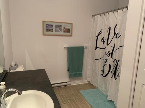 1 bedroom apartment for rent in Gatineau — photo 8