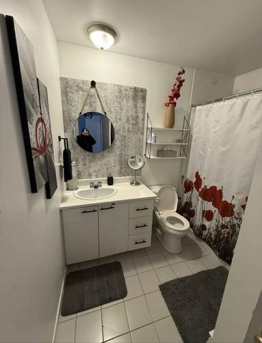 Appartement de 2 chambres à louer à Lévis — photo 6