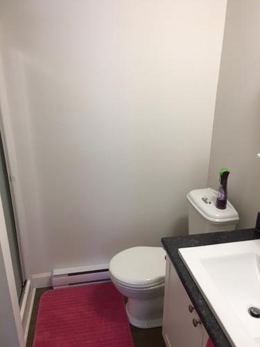 Appartement de 1 chambre à louer à Québec - La Cité-Limoilou — photo 5