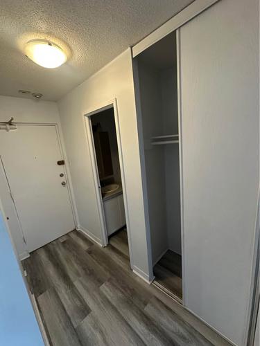 1 bedroom apartment for rent in Gatineau — photo 4