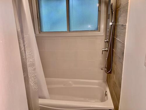 1 bedroom apartment for rent in Montreal - Rosemont–La Petite-Patrie — photo 5