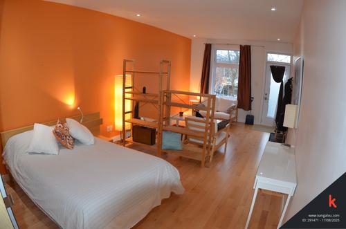 Appartement de 1 chambre à louer à Montreal - Rosemont–La Petite-Patrie — photo 9