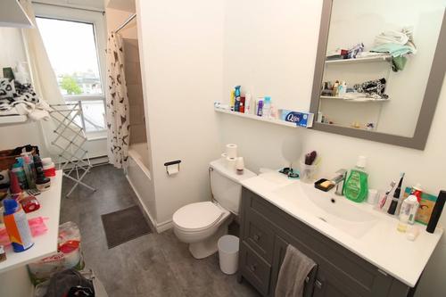 Studio à louer à Lévis — photo 5