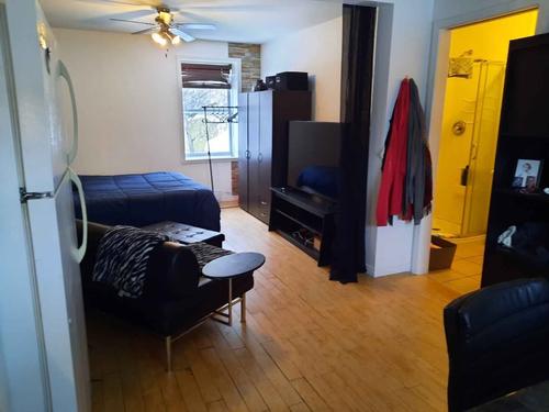 Studio à louer à Lévis — photo 14