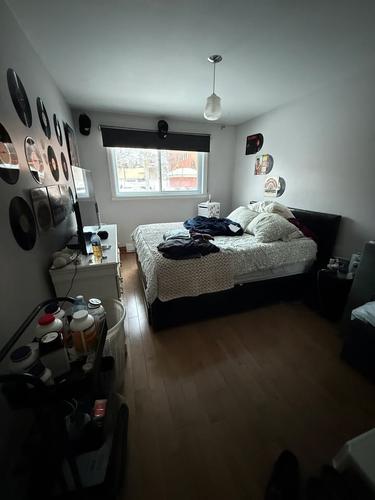 1 bedroom apartment for rent in Lévis — photo 8
