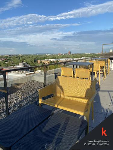 1 bedroom apartment for rent in Montreal - Rosemont–La Petite-Patrie — photo 3