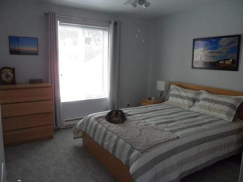 Appartement de 2 chambres à louer à Sherbrooke — photo 9