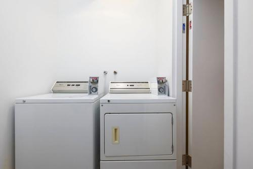 2 bedrooms apartment for rent in Montreal - Le Plateau-Mont-Royal — photo 12