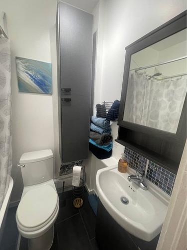 Appartement de 2 chambres à louer à Québec - La Cité-Limoilou — photo 5