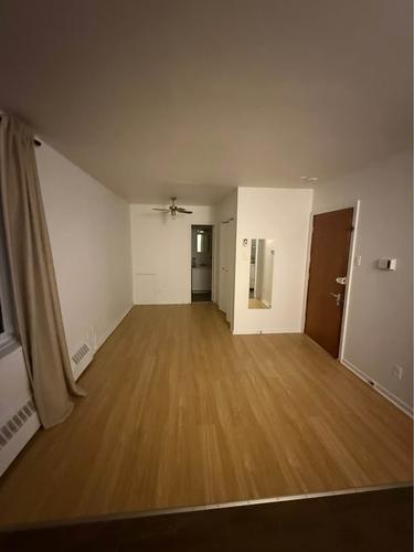 1 bedroom apartment for rent in Montreal - Le Plateau-Mont-Royal — photo 7