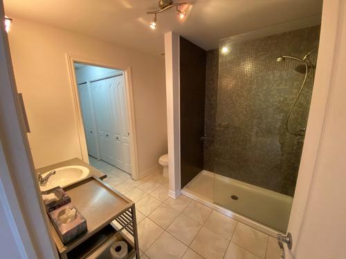 1 bedroom apartment for rent in Montreal - Rosemont–La Petite-Patrie — photo 2