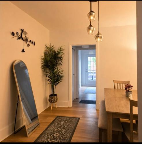 Appartement de 2 chambres à louer à Québec - La Cité-Limoilou — photo 6