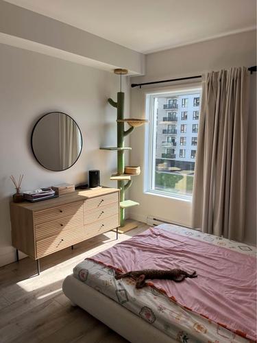 1 bedroom apartment for rent in Lévis — photo 6