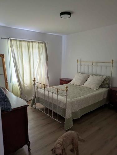 3 bedrooms apartment for rent in Sherbrooke — photo 6