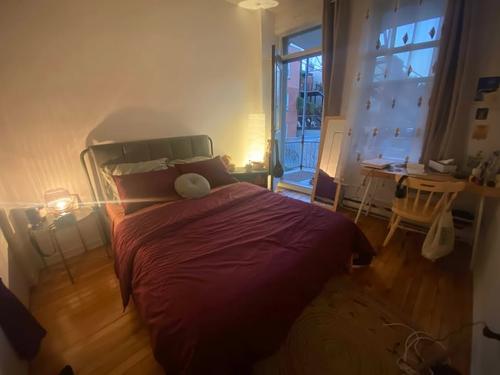 1 bedroom apartment for rent in Montreal - Le Plateau-Mont-Royal — photo 8