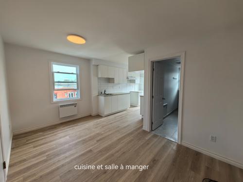1 bedroom apartment for rent in Montreal - Villeray–Saint-Michel–Parc-Extension — photo 3