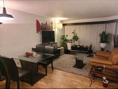 Appartement de 2 chambres à louer à Québec - Sainte-Foy–Sillery–Cap-Rouge — photo 4
