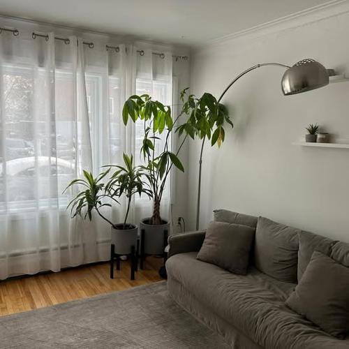 2 bedrooms apartment for rent in Montréal — photo 4