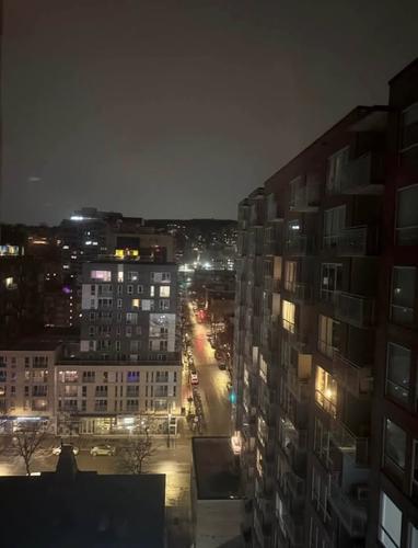 1 bedroom apartment for rent in Montreal - Ville-Marie — photo 3