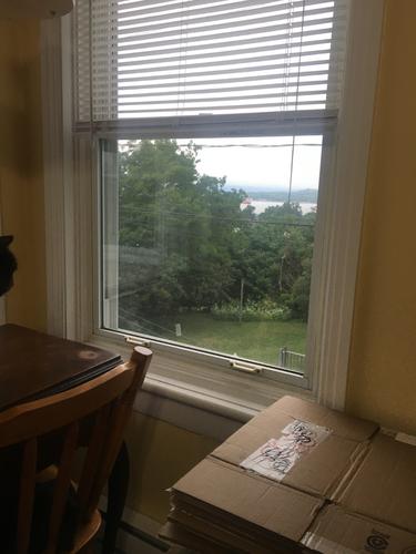 1 bedroom apartment for rent in Lévis — photo 2