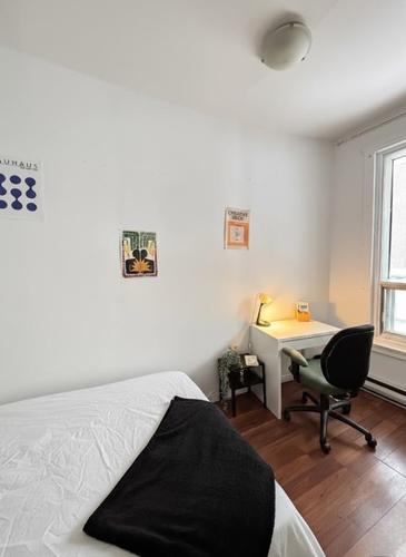 4 bedrooms apartment for rent in Montreal - Le Plateau-Mont-Royal — photo 16