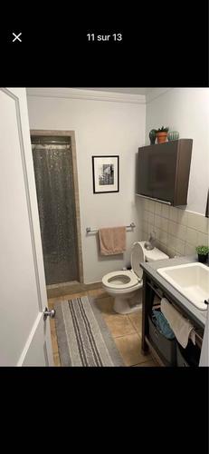 Appartement de 2 chambres à louer à Montreal - Rosemont–La Petite-Patrie — photo 9