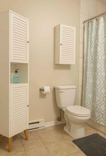 Appartement de 1 chambre à louer à Gatineau — photo 4