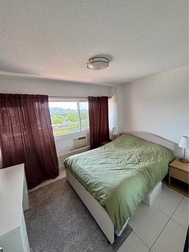 Appartement de 1 chambre à louer à Montreal - Le Plateau-Mont-Royal — photo 11