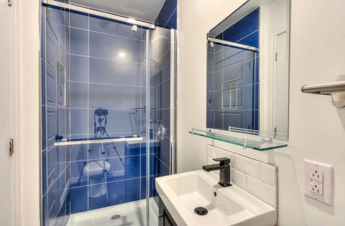 4 bedrooms apartment for rent in Montreal - Le Plateau-Mont-Royal — photo 11