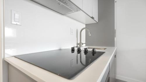 1 bedroom apartment for rent in Montreal - Le Plateau-Mont-Royal — photo 10