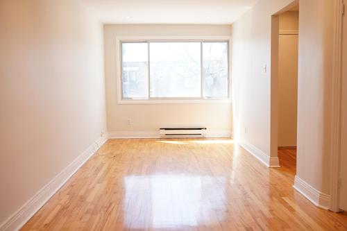 Appartement de 1 chambre à louer à Montreal - Rosemont–La Petite-Patrie — photo 11