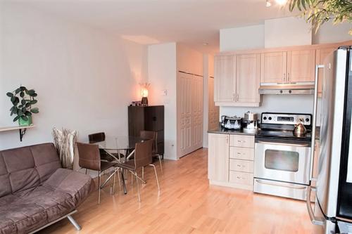 1 bedroom apartment for rent in Montreal - Le Plateau-Mont-Royal — photo 11
