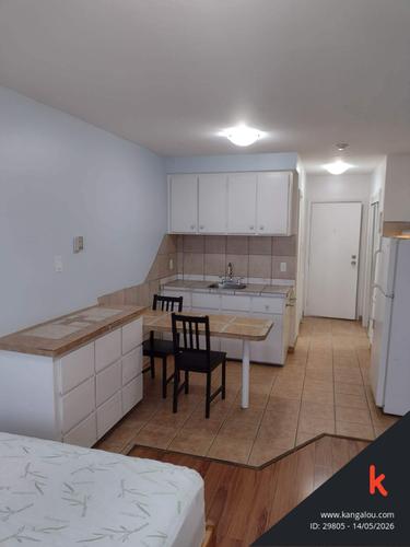 Studio for rent in Montreal - Le Plateau-Mont-Royal — photo 25