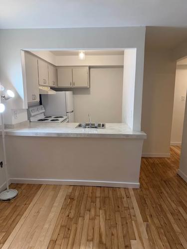1 bedroom apartment for rent in Montreal - Le Plateau-Mont-Royal — photo 3